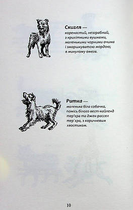 Книга для дітей "Зграя. Борвій собак. Книга 6" | АССА, фото 5