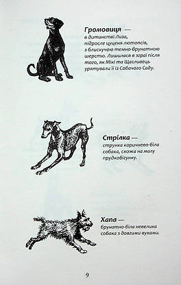 Книга для дітей "Зграя. Борвій собак. Книга 6" | АССА, фото 6