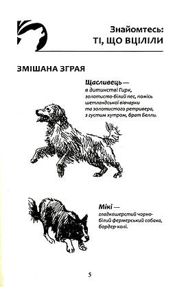 Книга для дітей "Зграя. Безкрає озеро. Книга 5" | АССА, фото 3