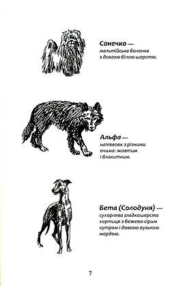 Книга для дітей "Зграя. Безкрає озеро. Книга 5" | АССА, фото 4