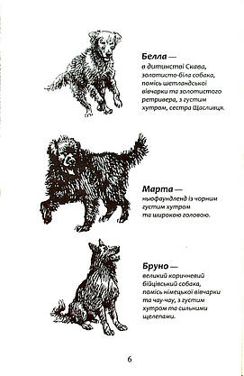 Книга для дітей "Зграя. Безкрає озеро. Книга 5" | АССА, фото 5