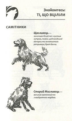 Книга для дітей "Зграя. Спорожніле місто. Книга 1" | АССА, фото 3