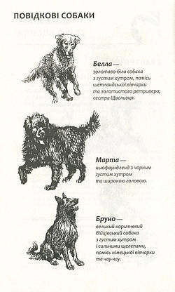 Книга для дітей "Зграя. Спорожніле місто. Книга 1" | АССА, фото 4