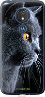 Силиконовый чехол Endorphone Motorola Moto G7 Power Красивый кот (3038u-1657-26985) HR, код: 7501355