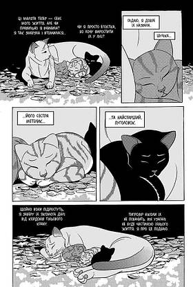 Книга для дітей "Коти-вояки. Тигрозір і Саша. Повернення до Кланів. Манґа 7" | АССА, фото 4
