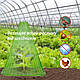 Конус для укриття рослин на городі. Конус для захисту рослин від шкідників. Конусне укриття рослин 10 шт - фото 4 - id-p2192246783