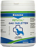 Canina Petvital GAG Tabletten Глюкозамин с экстрактом мидий для собак 90 г 0.6