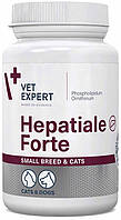 VetExpert Hepatiale Forte Small Breed & Cats Гепатопротектор для кошек и собак мелких пород 40 капсул