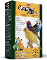 Padovan Ovomix gold Giallo Дополнительный корм для зерноядных птиц при линьке и размножении 300 г