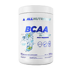 BCAA Instant Max Support (500 g, blueberry)