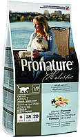 Pronature Adult Skin & Coat Atlantic Salmon & Brown Rice Сухой корм с лососем и рисом для кошек 5.44 кг