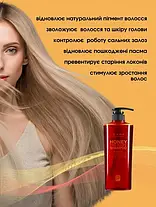 Шампунь для волосся Медова терапія Daeng Gi Meo Ri Honey Therapy Shampoo, фото 2