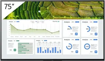 Проекційний екран Sony Fw-75Bz30L 75 Wyświetlacz (FW75BZ30L)