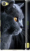 Пластиковый чехол Endorphone Sony Xperia Z5 Compact E5823 Красивый кот (3038c-322-26985) HR, код: 7500995