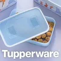 Контейнер "Акваконтроль" 1,1л Tupperware