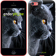Пластиковый чехол Endorphone на iPhone 5c Красивый кот (3038t-23-26985) IB, код: 1843873