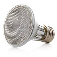 Лампа светодиодная Brille Стекло 2W Хром 126693 PS, код: 7264235
