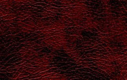 Шкірозамінник 110