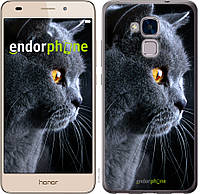 Пластиковий чохол Endorphone на Huawei GT3 Гарний кіт (3038t-472-26985) IB, код: 1390955