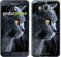 Панель Endorphone на Samsung Galaxy J7 (2016) J710F Красивый кот (3038u-263-26985) IB, код: 1390645