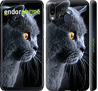 Панель Endorphone на Samsung Galaxy M20 Красивый кот (3038m-1660-26985) IB, код: 1390875