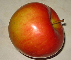 Яблоня Чемпіон Арно. (М 26). Раннезимовий сорт