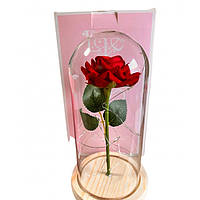 Троянда в колбі в подарунковому пакованні червона N2