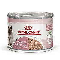 Консерва для котят Royal Canin Babycat Instinctive(Роял канин) з момента отлучения до 4 месяцев,мус