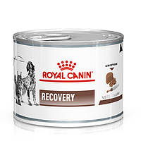 Royal Canin Recovery 195 г