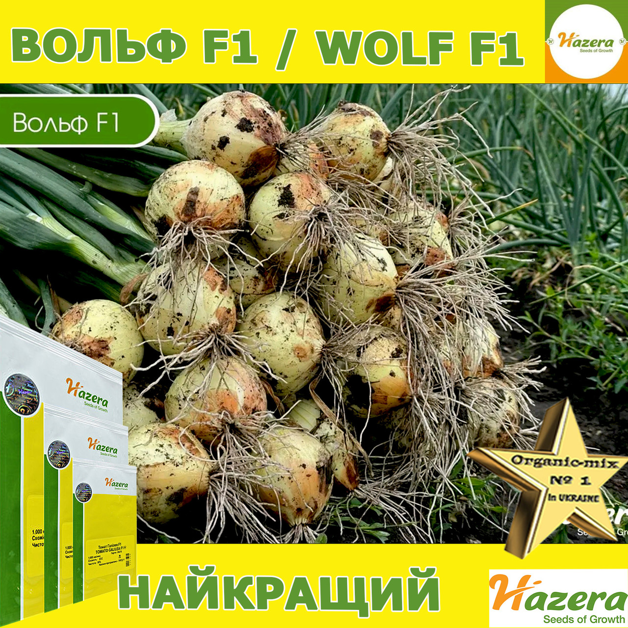 Озима цибуля ВОЛЬФ F1 / WOLF F1, ТМ Hazera seeds, 250 000 насінин, фото 1