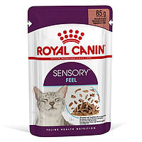 Royal Canin Sensory Feel in Gravy консерва для привередливых котов (кусочки в соусе) 85 г