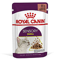 Royal Canin Sensory Smell in Gravy консерва для привередливых котов (кусочки в соусе) 85 г