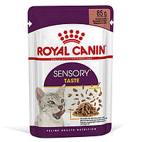 Royal Canin Sensory Taste in Gravy консерва для привередливых котов (кусочки в соусе) 85 г