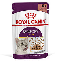 Royal Canin Sensory Taste in Gravy консерва для привередливых котов (кусочки в соусе) 85 г 12 шт