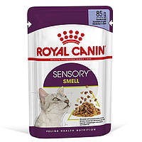 Royal Canin Sensory Smell in Jelly консерва для привередливых котов (кусочки в желе) 85 г