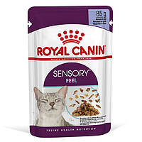 Royal Canin Sensory Feel in Jelly консерва для привередливых котов (кусочки в желе) 85 г