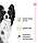 Корм для дорослих собак ROYAL CANIN XSMALL ADULT 8+(віком від 8 років) 3 кг, фото 2