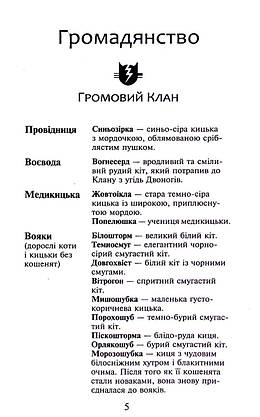 Книга для дітей "Коти-вояки. Здіймається буря. Книга 4 (м'яка обкладинка)" | АССА, фото 3