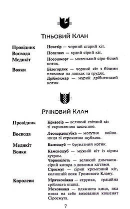 Книга для дітей "Коти-вояки. Здіймається буря. Книга 4 (м'яка обкладинка)" | АССА, фото 4