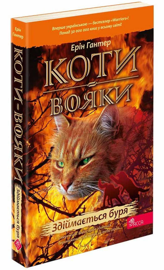 Книга для дітей "Коти-вояки. Здіймається буря. Книга 4 (м'яка обкладинка)" | АССА, фото 1