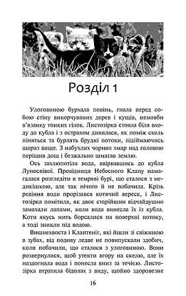 Книга для дітей "Коти-вояки. Доля Небесного Клану. Спеціальне видання" | АССА, фото 3