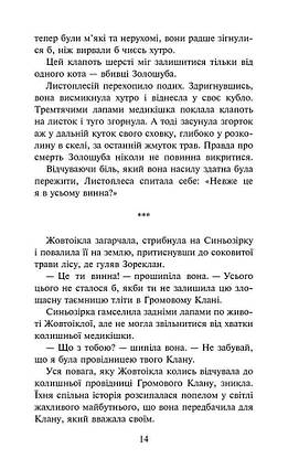 Книга для дітей "Коти-вояки. Сила трьох. Сходить сонце. Книга 6" | АССА, фото 6