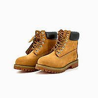 Timberland Ginger