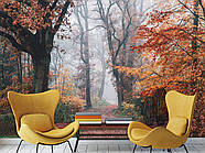 Самоклеюча плівка Oracal "Осінній ліс",фото шпалери для декорування будинку, фото 8