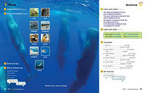 Look 3 Student's Book + Workbook / Комплект: (підручник + зошит) Daniel Barber. National Geographic, фото 3