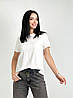 Жіноча футболка "Zefir" трикотаж оптом I Розпродаж моделі, фото 8