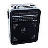 Радіоприймач з USB-виходом GOLON RX-9100 Чорний з коричневим, фото 2