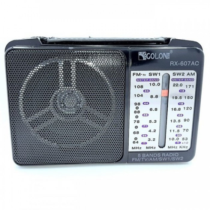 Портативний радіоприймач GOLON RX-607AC від мережі 220В Чорний