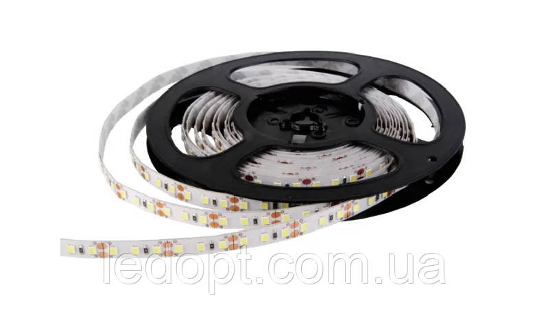 LED стрічка RISHANG 60-2835-12V-IP20 5,5W 530Lm 6000K 5м (RN0860TA-B-PW), фото 1