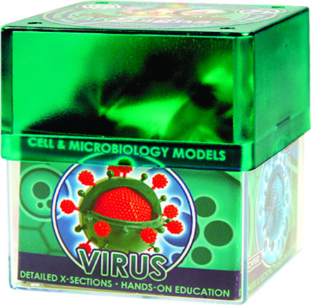 Біологічні моделі "Вірус" COG (E2371VS), фото 1